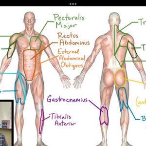 Meet your Posher, Joice